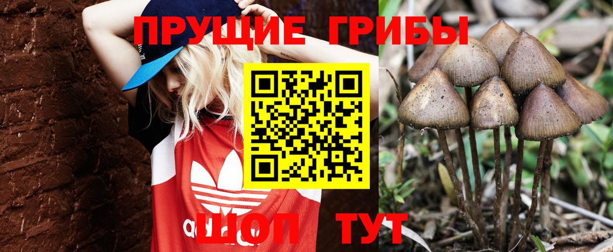 Псилоцибиновые грибы мухоморы  магазин продажи   Солнечногорск  Вход с VPN  Псилоцибиновые грибы MAGIC MUSHROOMS 